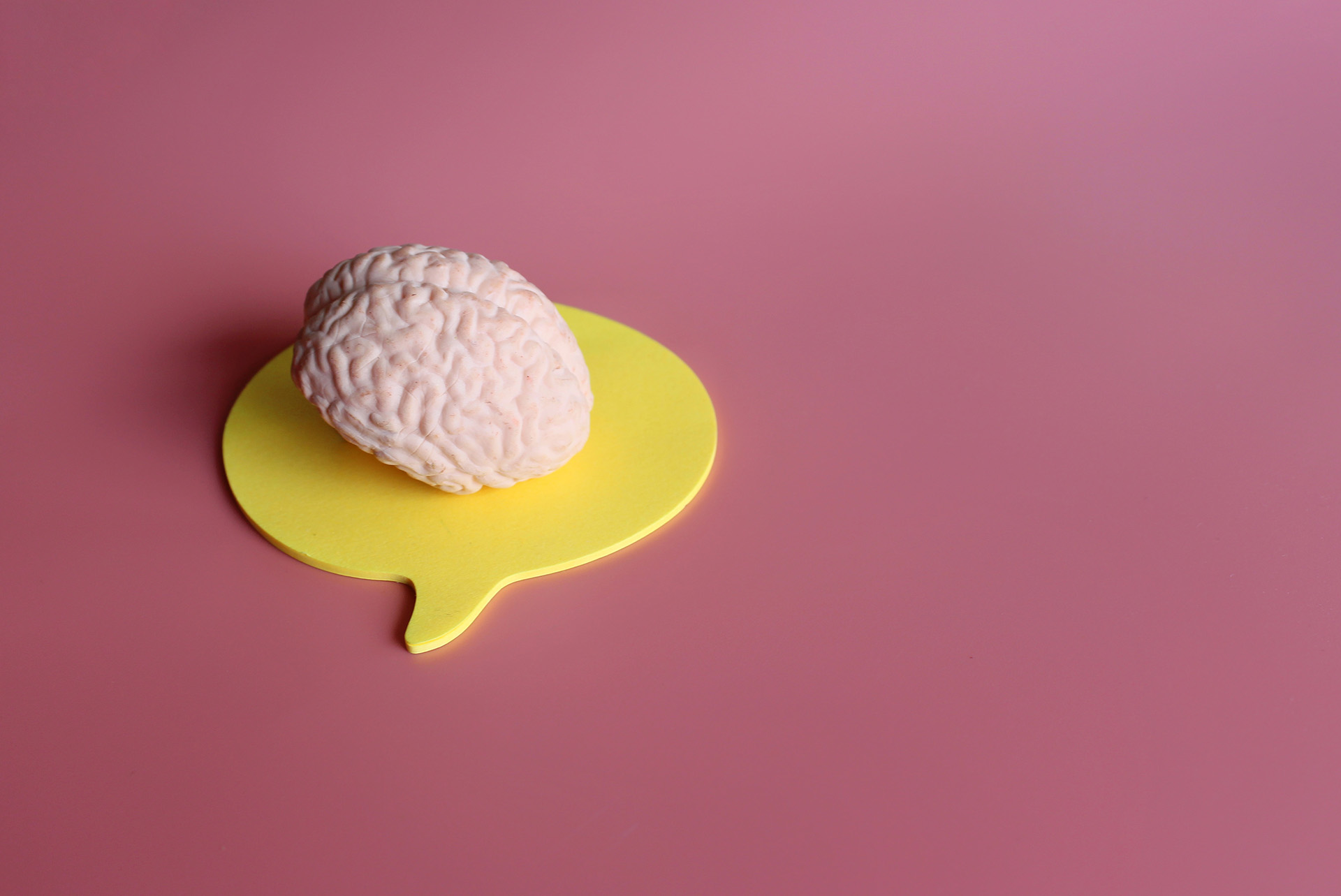 Causes of a Language Delay